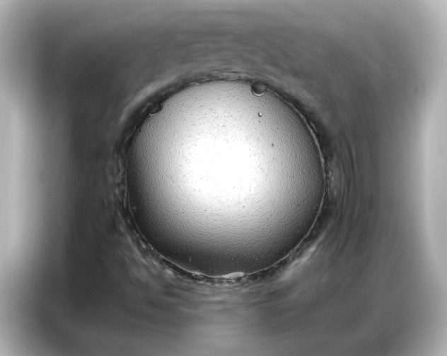 X0000086931494200704301106