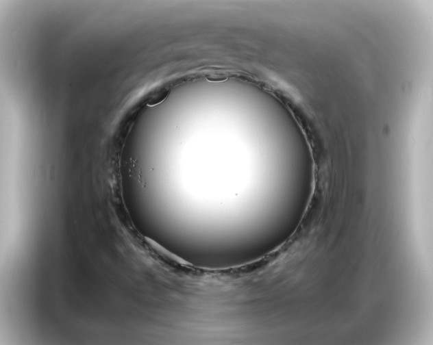 X0000086931496200704301106