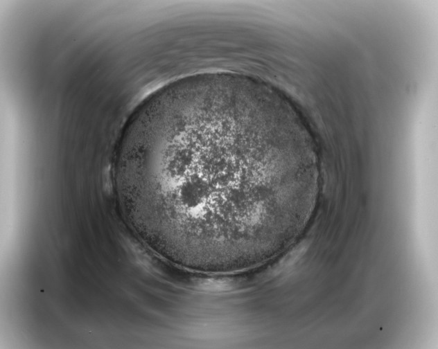 X0000086931497200704301106