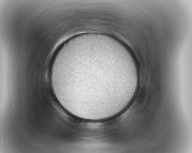 X0000086931498200704301106