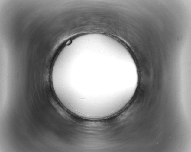 X0000086931499200704301106