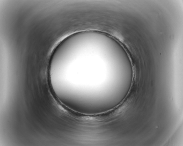 X0000086931500200704301106