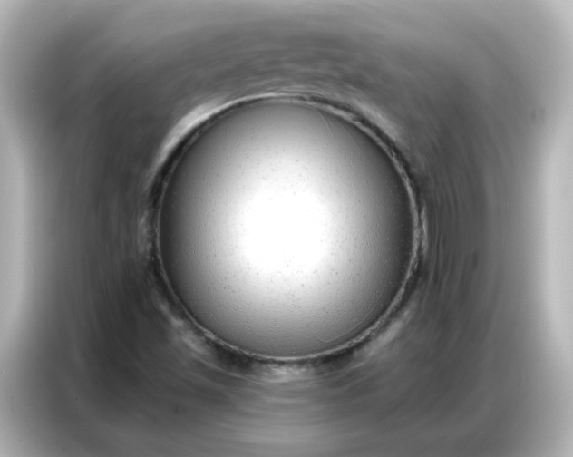 X0000086931501200704301106