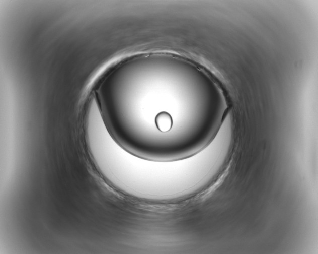 X0000086931502200704301106