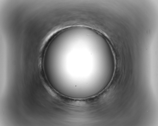 X0000086931503200704301106