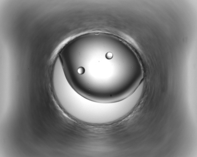 X0000086931504200704301106