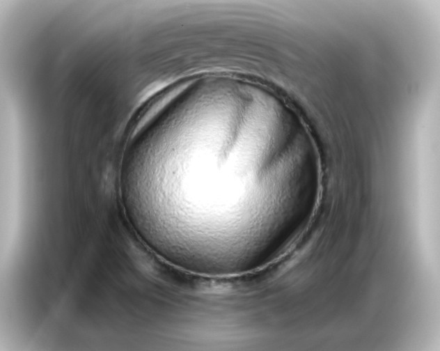 X0000086931505200704301107