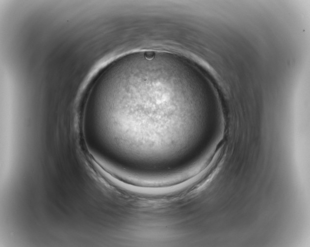 X0000086931506200704301107