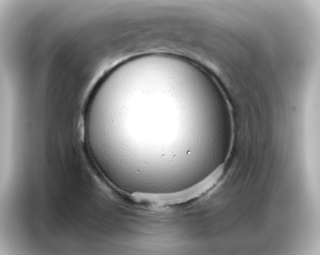 X0000086931509200704301107