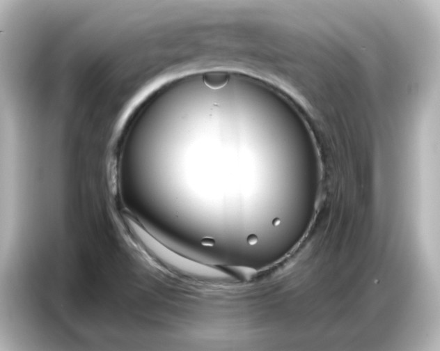 X0000086931510200704301107