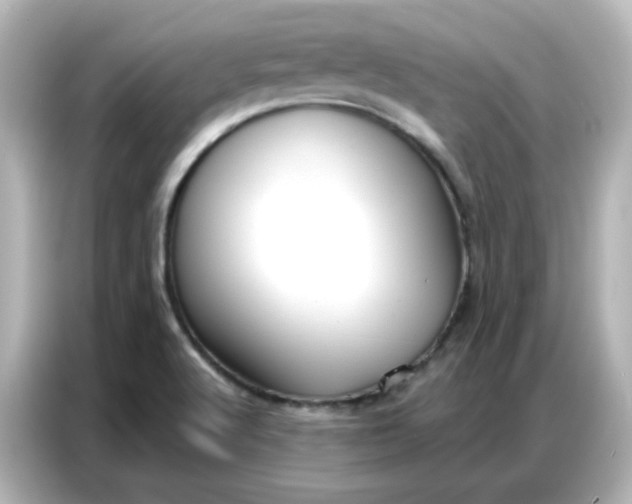 X0000086931512200704301107