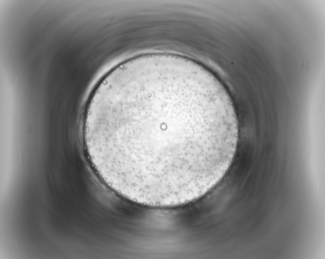 X0000086931514200704301107