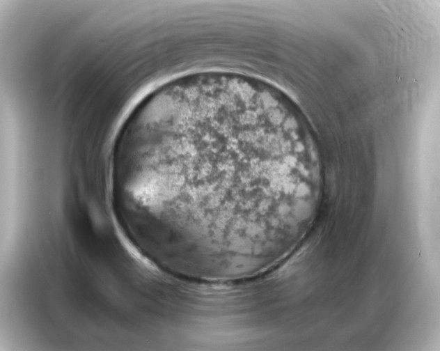 X0000086931515200704301107