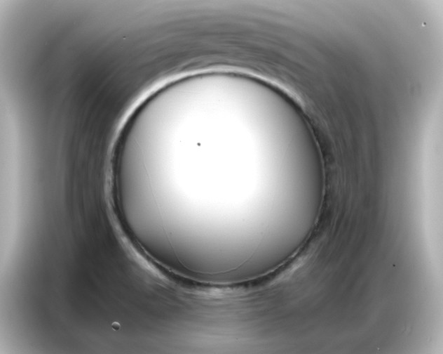 X0000086931518200704301107