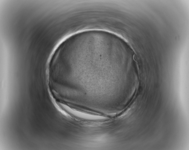 X0000086931519200704301107