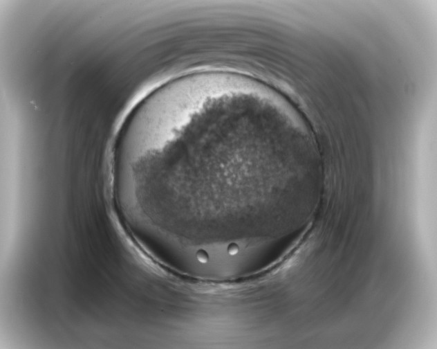 X0000086931522200704301107