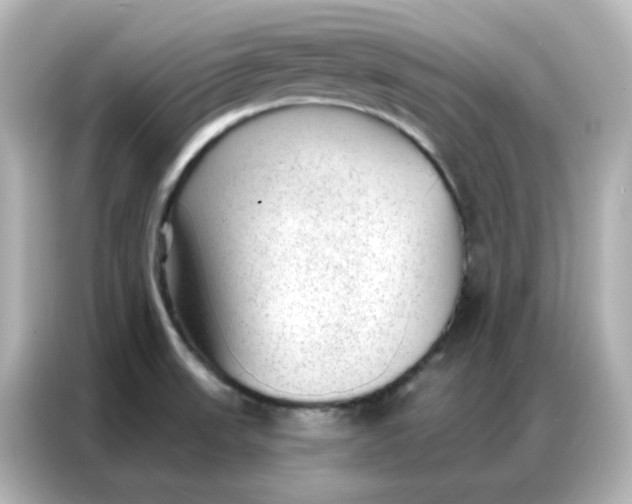 X0000086931523200704301107