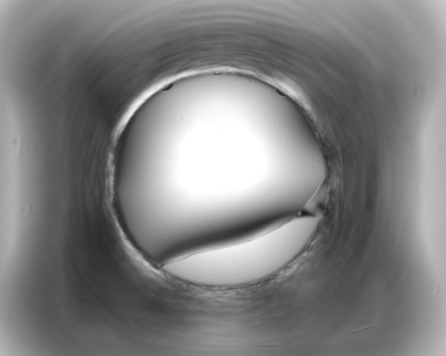 X0000086931524200704301107