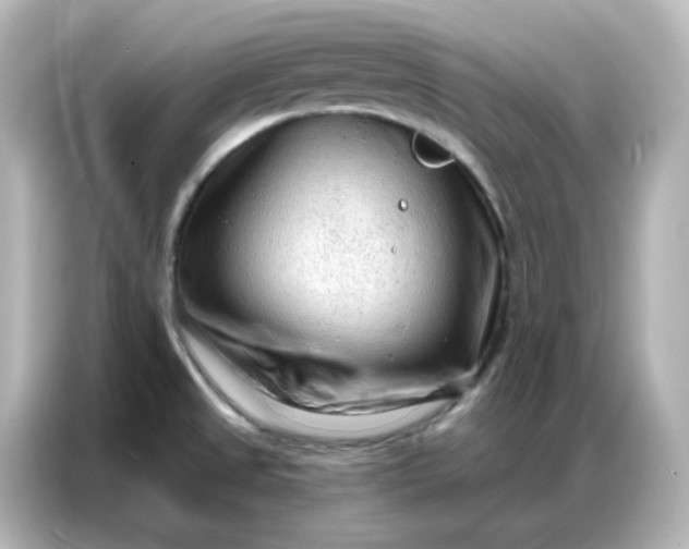 X0000086931525200704301107