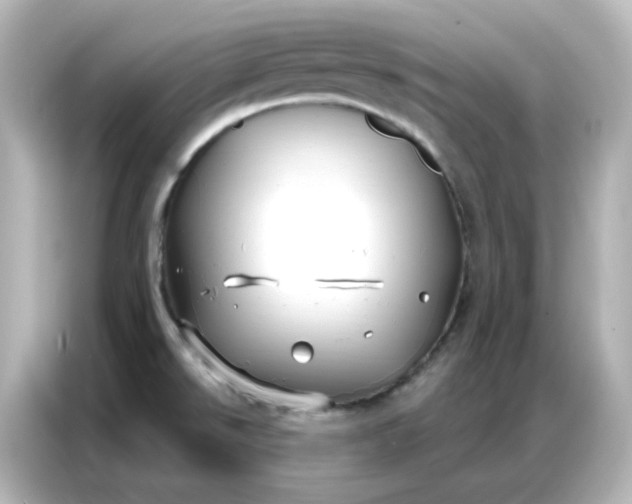 X0000086931526200704301107