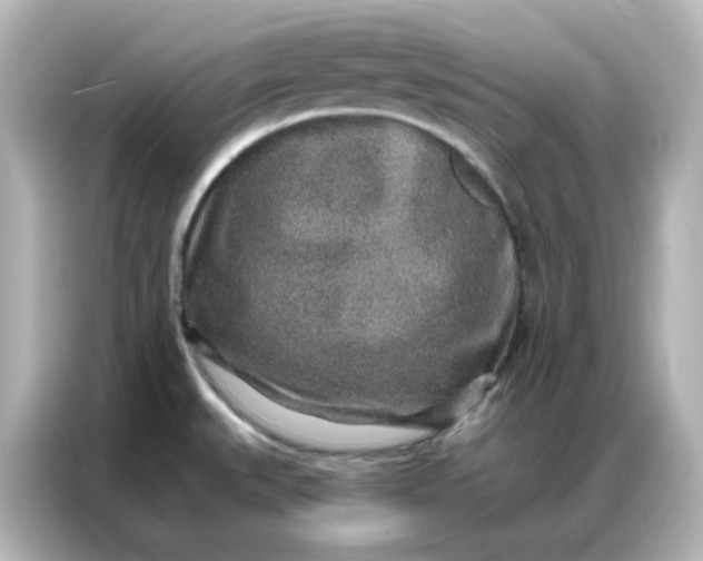 X0000086931527200704301107