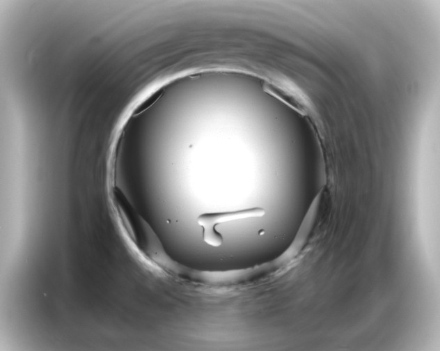 X0000086931528200704301107