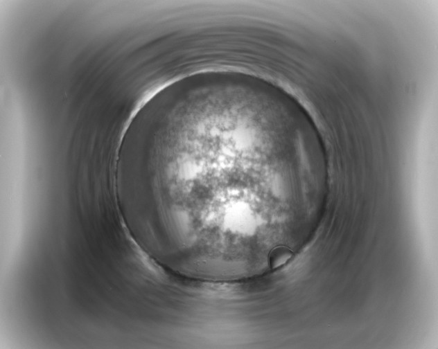 X0000086931529200704301107