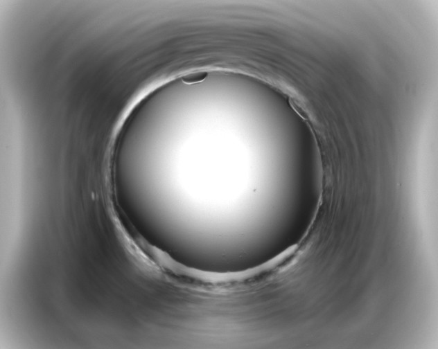 X0000086931530200704301107