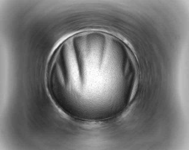 X0000086931533200704301107