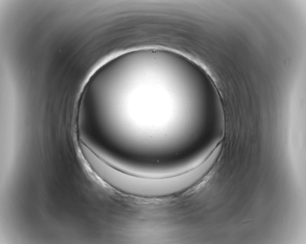 X0000086931534200704301107