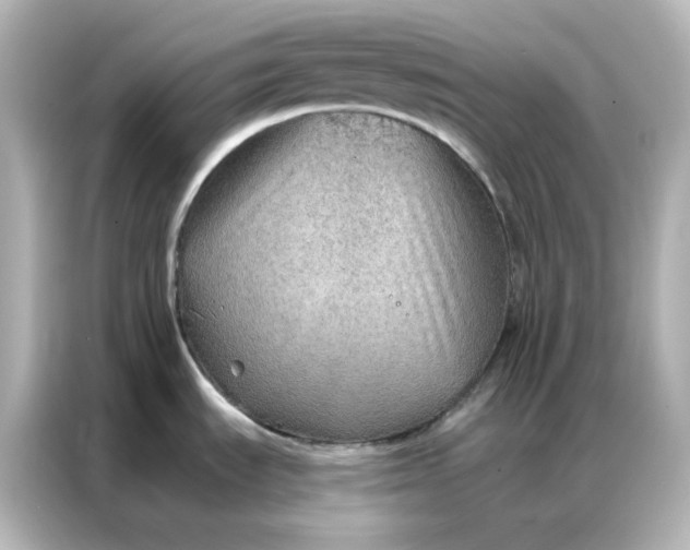 X0000086931535200704301107