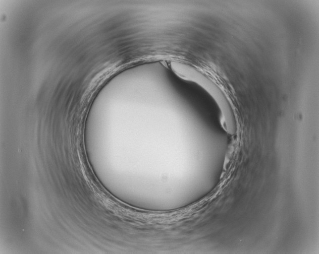 X0000086930001200705071405