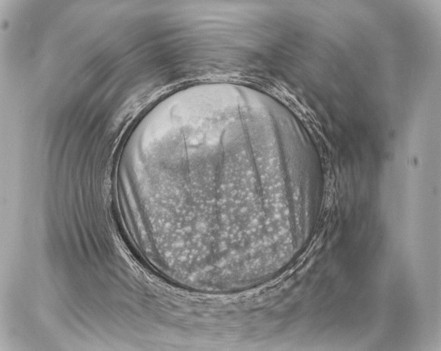 X0000086930002200705071405