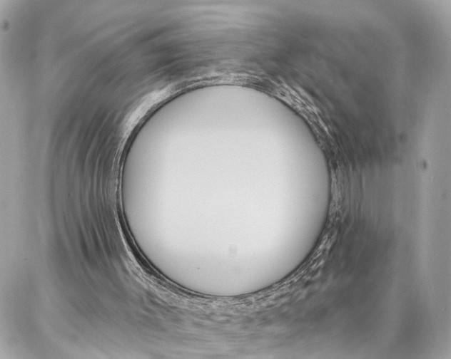 X0000086930003200705071405