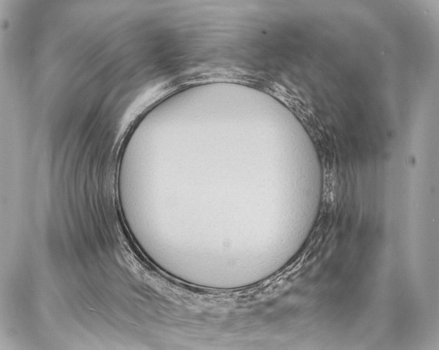 X0000086930004200705071405