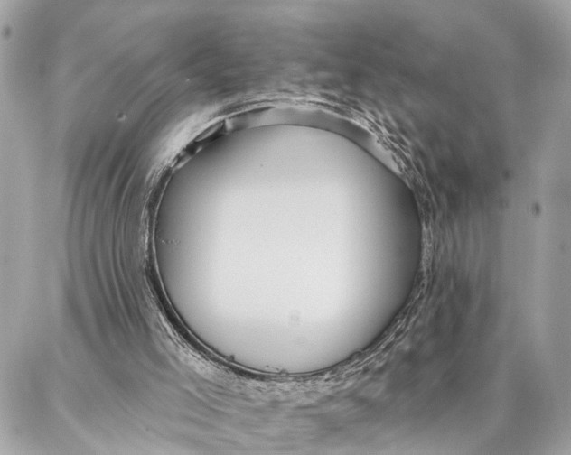 X0000086930005200705071404