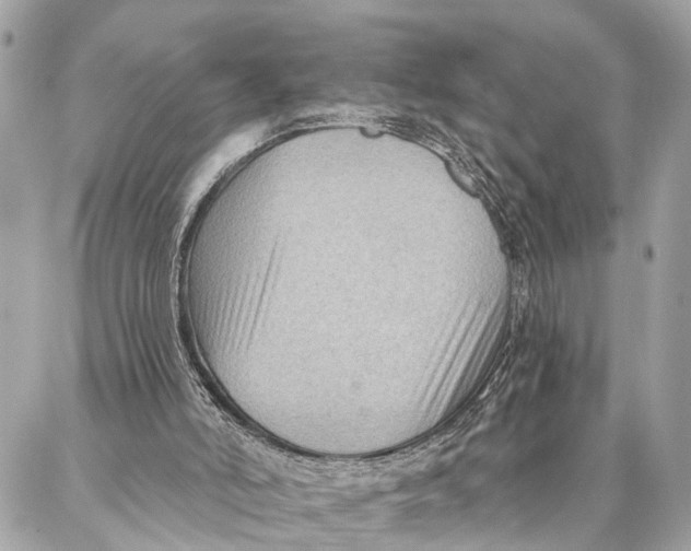 X0000086930006200705071404