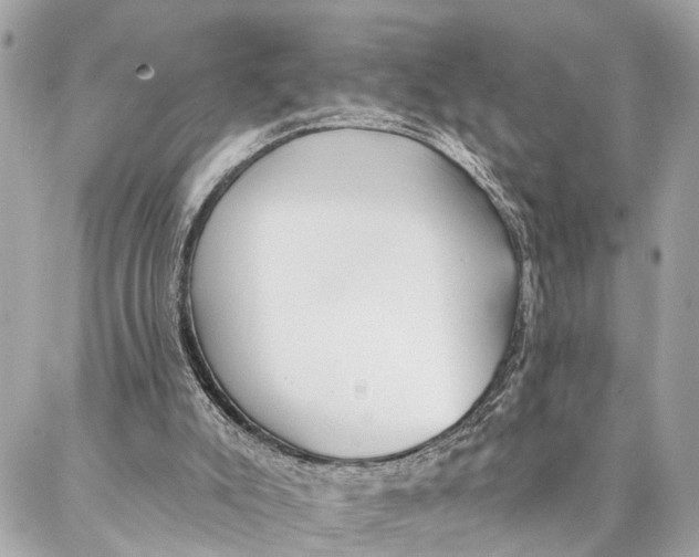 X0000086930007200705071404