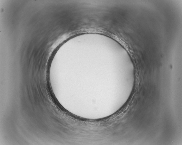 X0000086930008200705071404