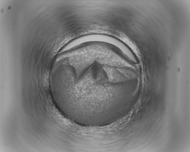 X0000086930009200705071404