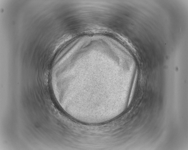 X0000086930010200705071404