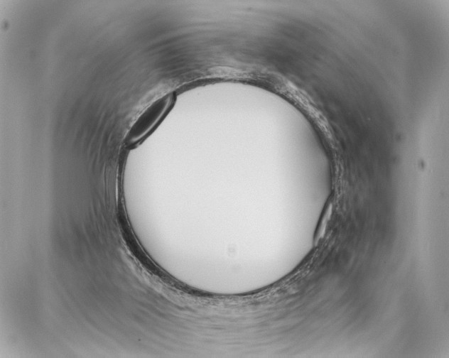 X0000086930011200705071404