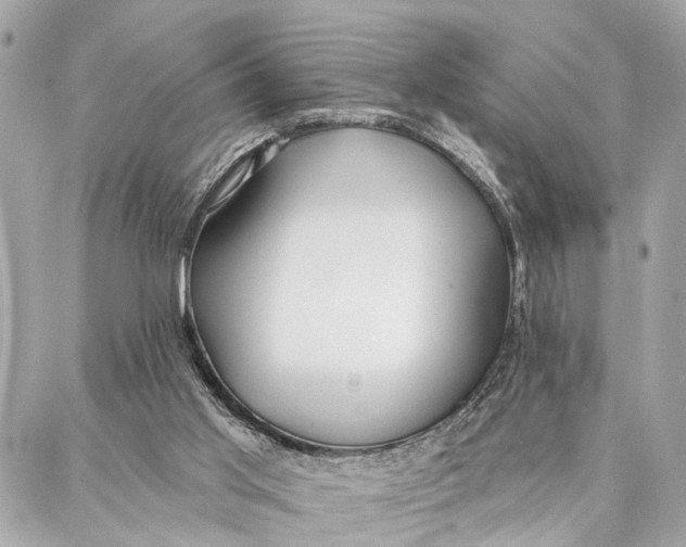 X0000086930013200705071404