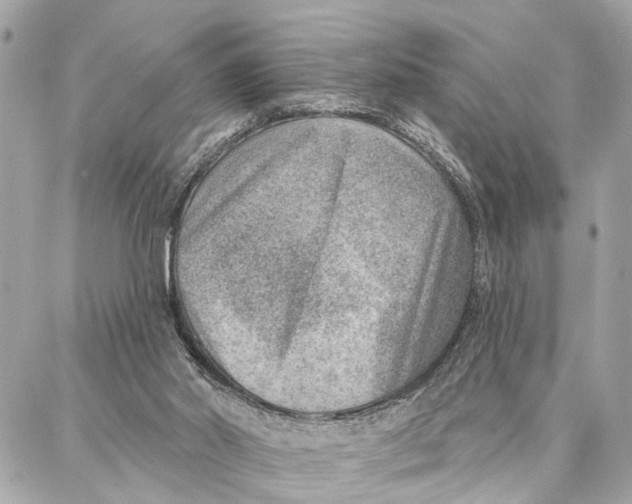 X0000086930014200705071404