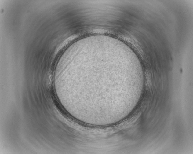 X0000086930016200705071404