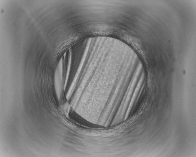 X0000086930017200705071404