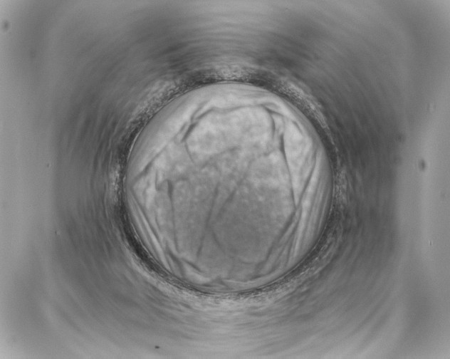 X0000086930018200705071404