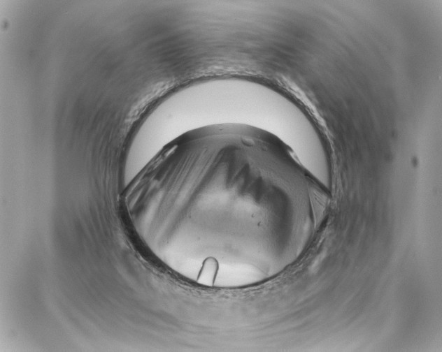 X0000086930019200705071404