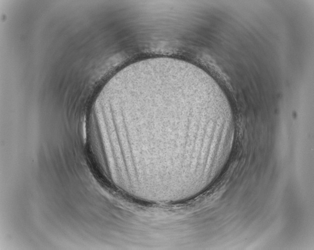 X0000086930020200705071404