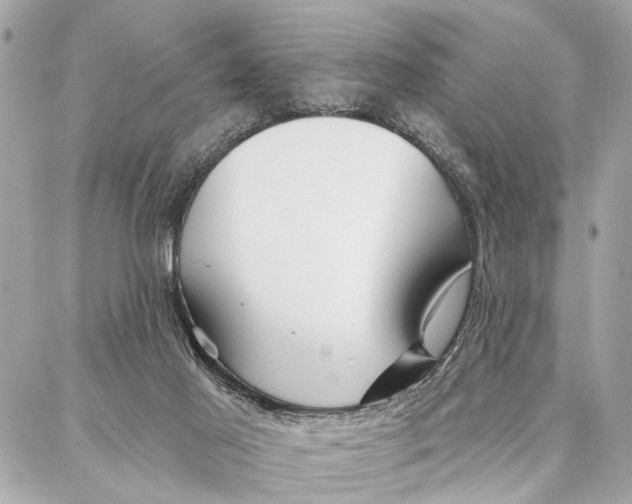 X0000086930021200705071404